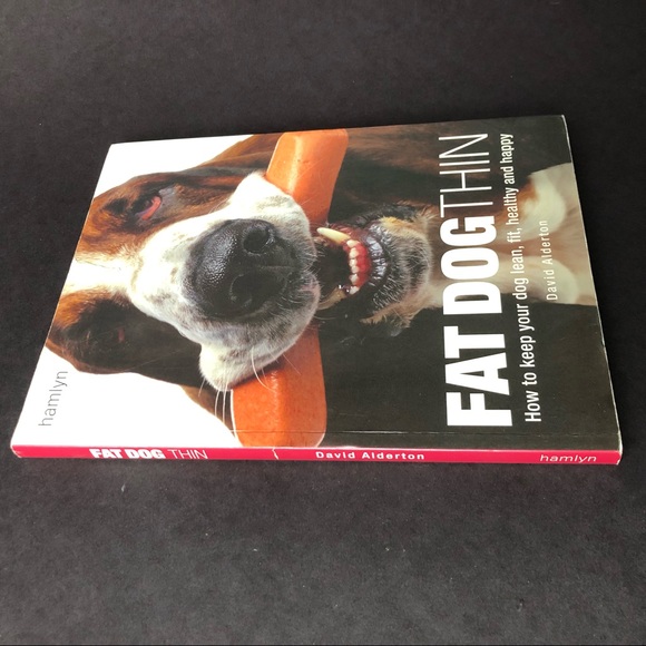 FAT DOG THIN! Book by David Alberton Good Used Condition - Picture 2 of 3